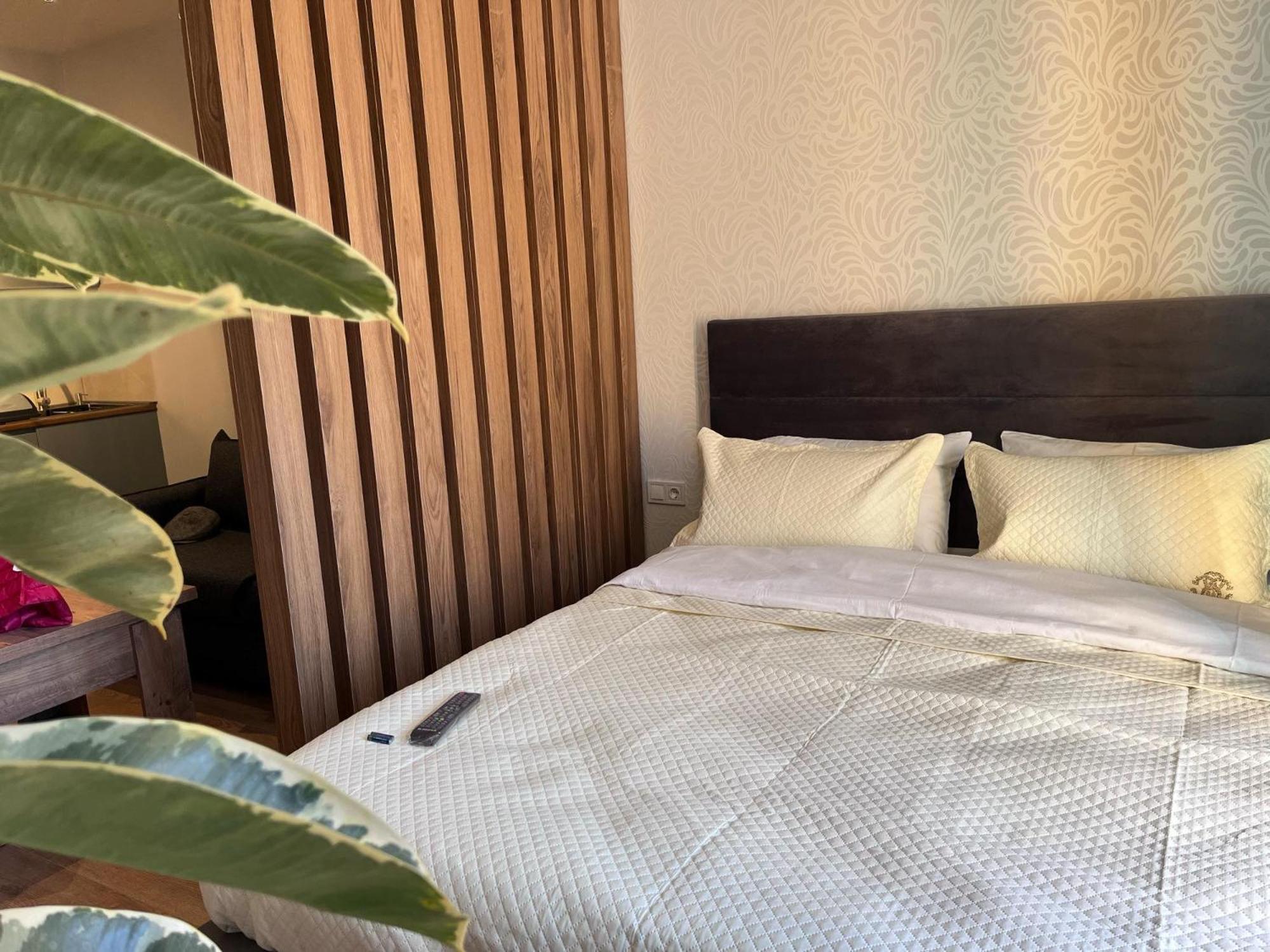 Delux Apartment Next To Ice Rink 古多里 外观 照片